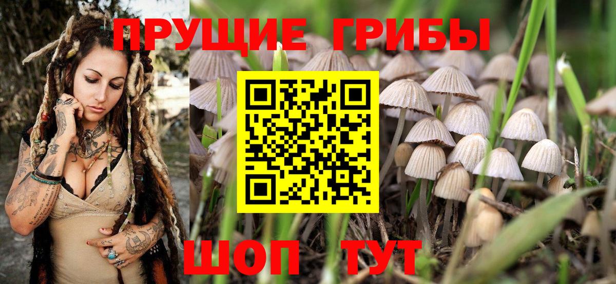 Галлюциногенные грибы Psilocybe  Галлюциногенные грибы мицелий  Вход с VPN  Дзержинск 