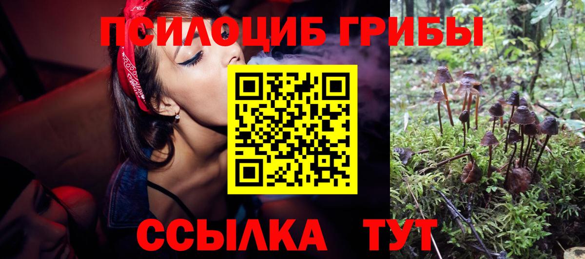Галлюциногенные грибы MAGIC MUSHROOMS Дзержинск